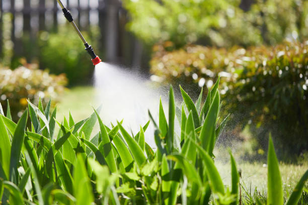 24/7 Emergency Wasp Removal experts in Centralia, IL